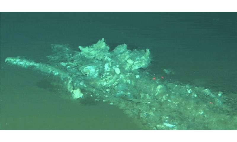 A 5.3-million‑year‑old whale graveyard has been found on the floor of the Indian Ocean