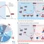 AI-guided catalyst turns CO₂ and waste into fertilizer at industrially relevant rates