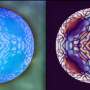 AI paired with tiny optical device corrects distorted light for sharper imaging