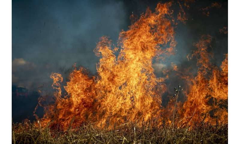 Analyzing wildfire behavior can help detect risk zones earlier and support fire‑smart strategies
