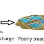 Concerns over camper wastewater chemicals in regional wastewater systems
