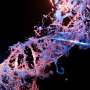 D&D-seq maps DNA-protein interactions in single cells with multi-omics compatibility