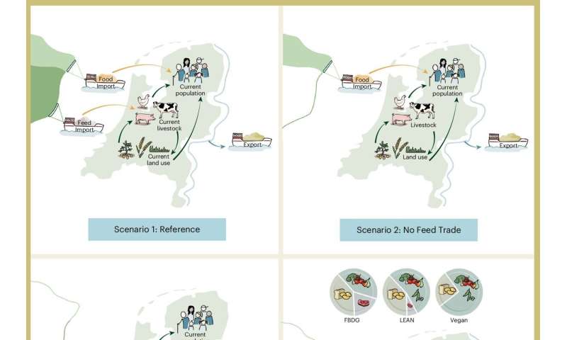 Does the Netherlands feed the world? Study challenges a familiar view of Dutch agriculture