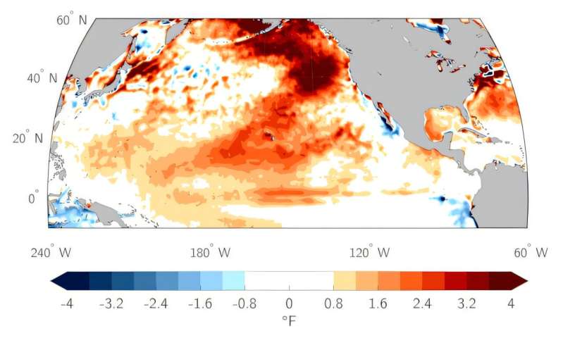 El Niño is back, and ocean temperatures are already near record highs—that can spell disaster for fish and corals