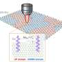 'Flawless on the outside, flipped within': Detecting hidden defects in 2D dielectrics with light