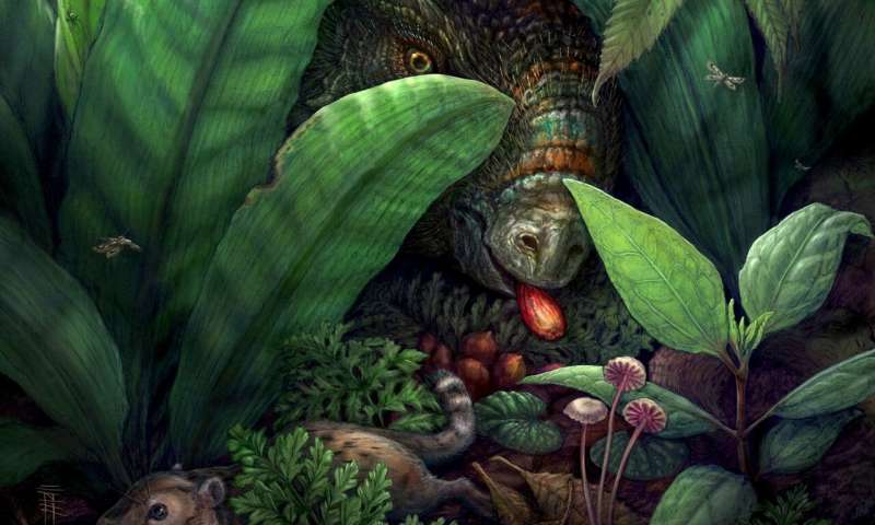 Fossils upend catastrophist narrative that flowering plants flourished only after dinosaur extinction
