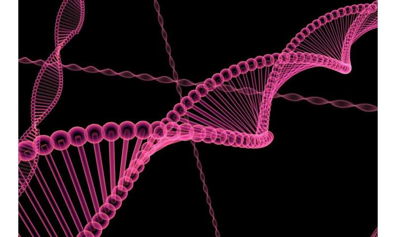 Hidden mitochondrial genes emerge as mealybugs encode two genes on one DNA stretch