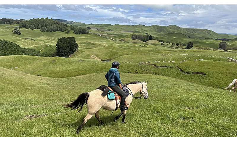 Horse owners' personality and attachment style shape how they interact with and care for their horses