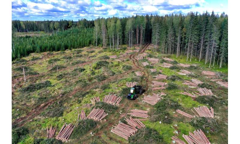 How biodiversity loss could raise borrowing costs and deepen debt risks worldwide