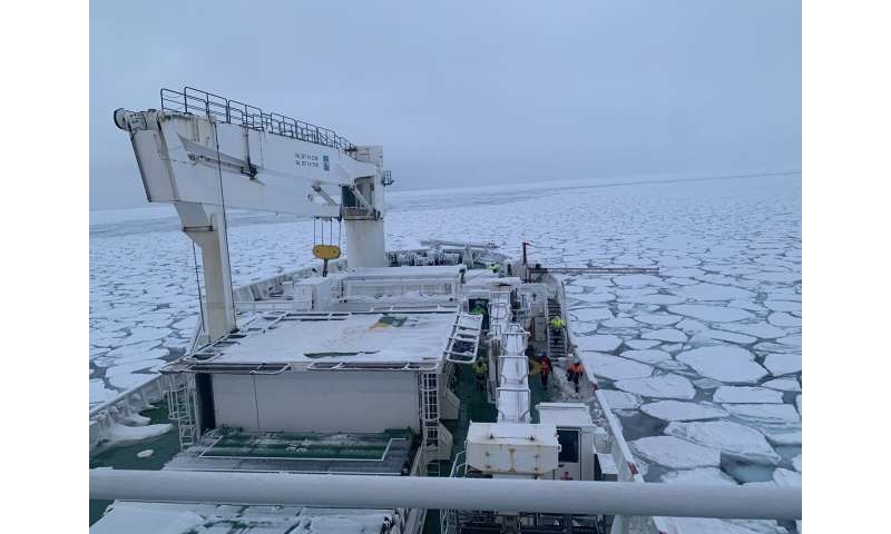 How sea-ice microbes survive the Southern Ocean's harsh winter has implications for climate change