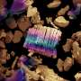 How tuning atomic order and surface chemistry can shape MXenes