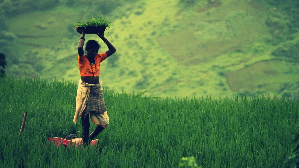 India’s water future is being built on myths about its medieval past