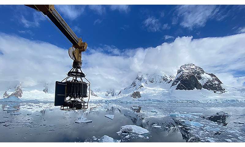Machine learning rediscovers equations governing ocean biogeochemistry