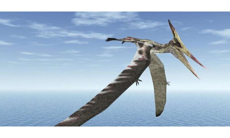 Microbes destroyed an ancient pterosaur's wingbone, then preserved it for 100 million years