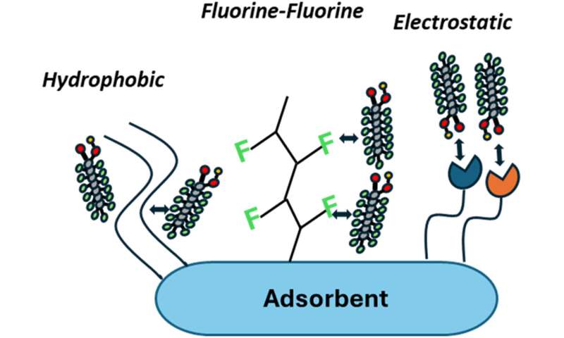 Molecular 'Velcro' gel removes PFAS from water without fluorinated materials