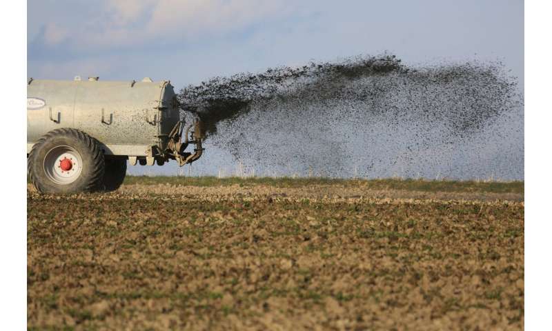 More sustainable agriculture: Recycled fertilizers could be part of the solution