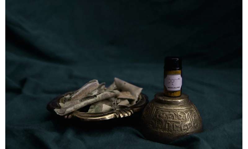 Natural hallucinogens may have evolved as ecological tools, not chemical accidents