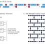Quantum circuits help AI overcome memory limitations with minimal new parameters