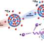 Quantum shell structure reveals new rule for proton-neutron pairing inside nuclei
