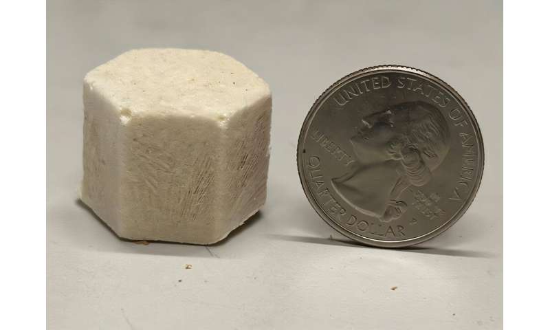 Sawdust, cellulose binders and beeswax combine into eco-friendly foam