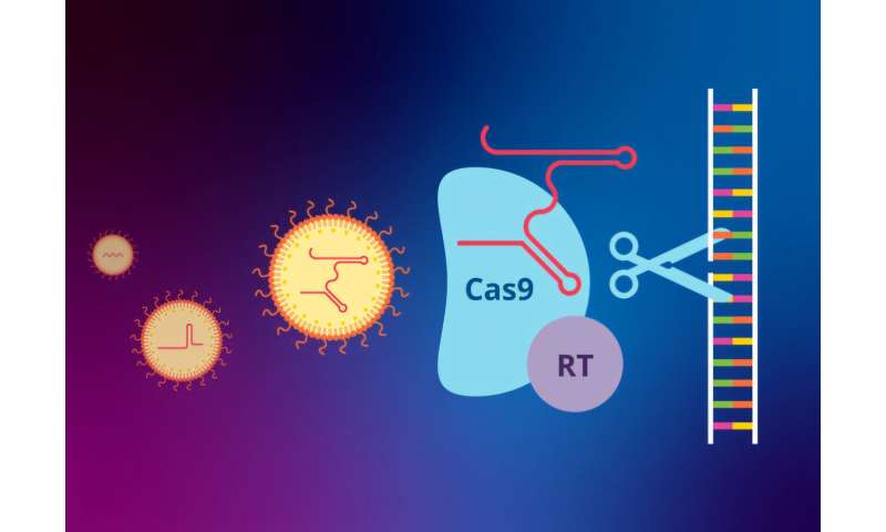 Scientists improve nearly every aspect of prime editing, moving it closer to treating more genetic diseases