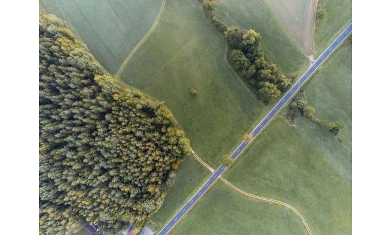 Small forest fragments can protect more birds when the surrounding landscape is more helpful