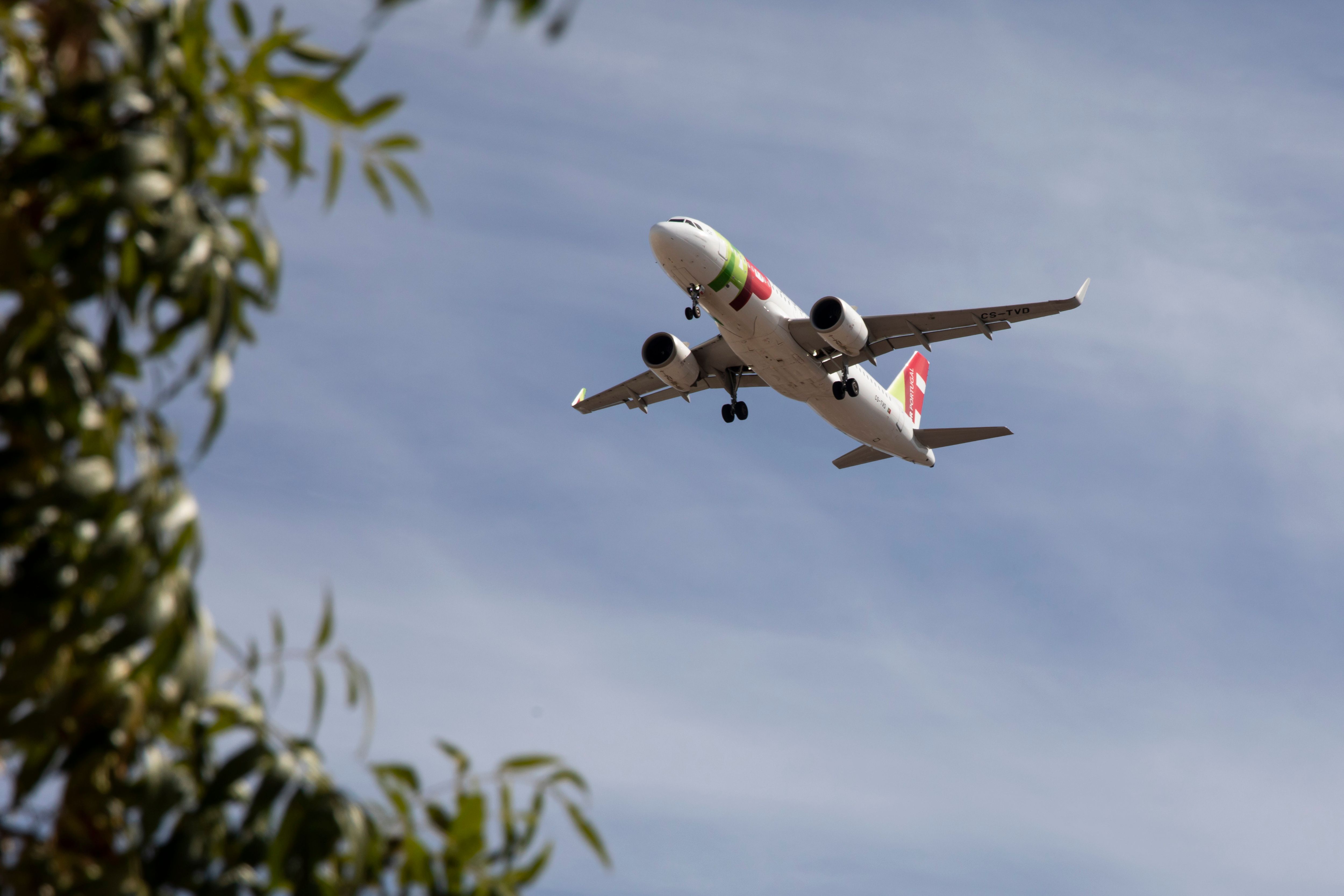 TAP Air Portugal Discount Codes June 2026