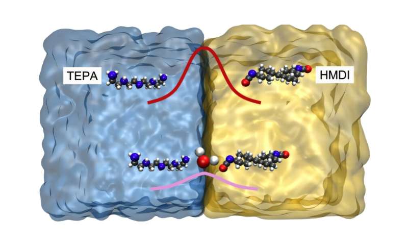 Water molecule unlocks faster interfacial polymerization by lowering energy barrier