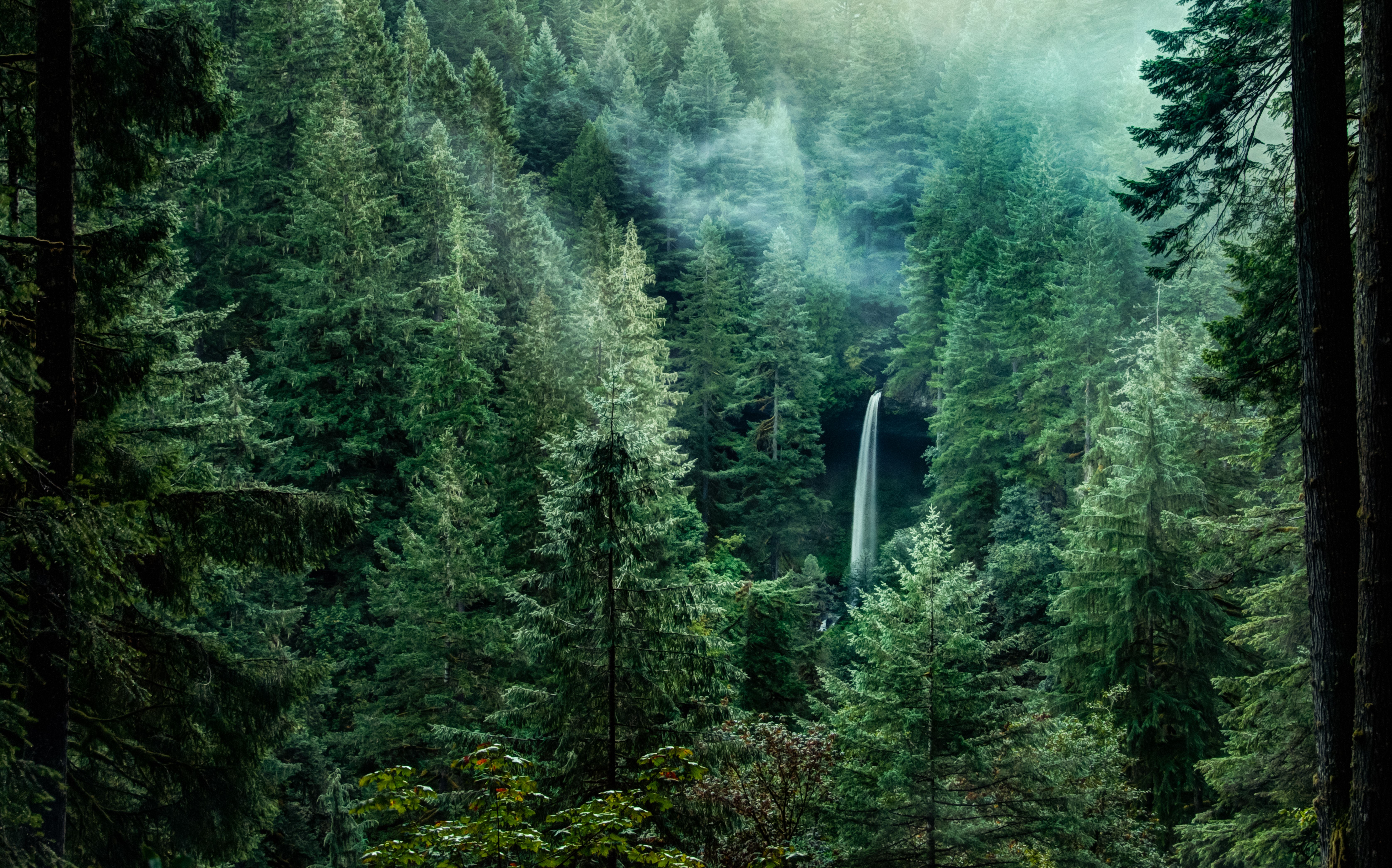 Where Was Twilight Filmed? Sinking Our Teeth Into the Real Forks, Washington And Other Filming Locations